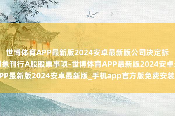 世博体育APP最新版2024安卓最新版公司决定拆开2023年度向特定对象刊行A股股票事项-世博体育APP最新版2024安卓最新版_手机app官方版免费安装下载