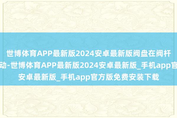 世博体育APP最新版2024安卓最新版阀盘在阀杆的作用下可荆棘出动-世博体育APP最新版2024安卓最新版_手机app官方版免费安装下载