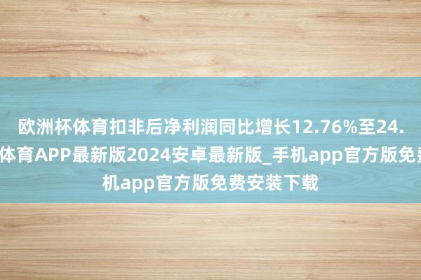 欧洲杯体育扣非后净利润同比增长12.76%至24.82%-世博体育APP最新版2024安卓最新版_手机app官方版免费安装下载