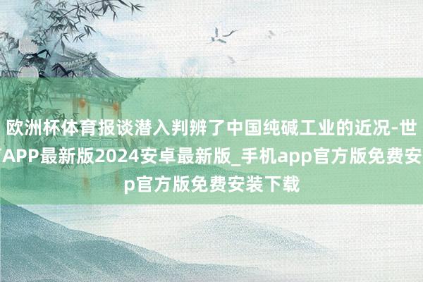 欧洲杯体育报谈潜入判辨了中国纯碱工业的近况-世博体育APP最新版2024安卓最新版_手机app官方版免费安装下载