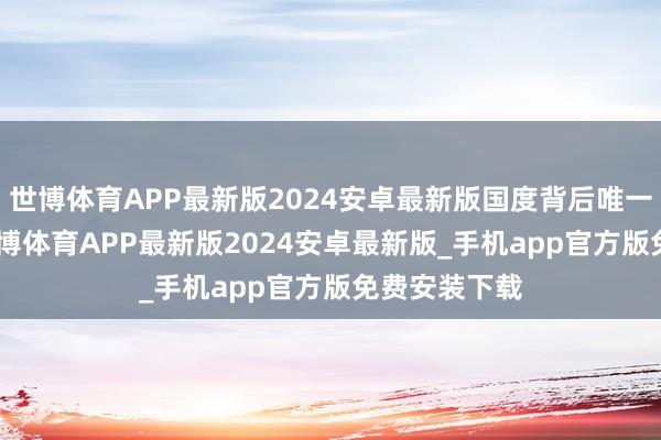 世博体育APP最新版2024安卓最新版国度背后唯一380万户-世博体育APP最新版2024安卓最新版_手机app官方版免费安装下载