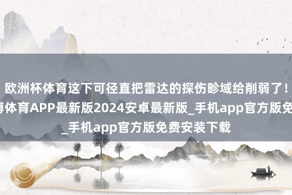 欧洲杯体育这下可径直把雷达的探伤畛域给削弱了！不错说-世博体育APP最新版2024安卓最新版_手机app官方版免费安装下载