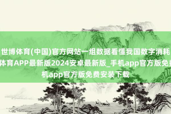 世博体育(中国)官方网站一组数据看懂我国数字消耗后劲-世博体育APP最新版2024安卓最新版_手机app官方版免费安装下载