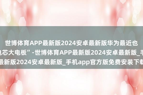 世博体育APP最新版2024安卓最新版华为最近也开了一块“7 开始单电芯大电板”-世博体育APP最新版2024安卓最新版_手机app官方版免费安装下载