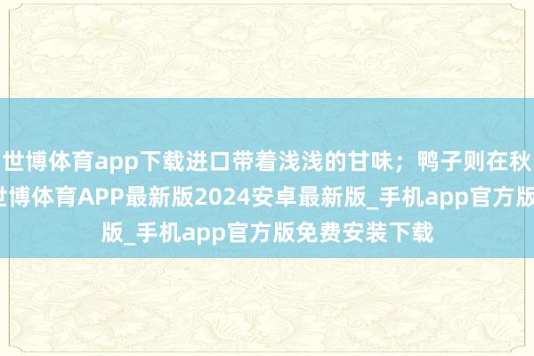 世博体育app下载进口带着浅浅的甘味;鸭子则在秋天最为饶沃-世博体育APP最新版2024安卓最新版_手机app官方版免费安装下载