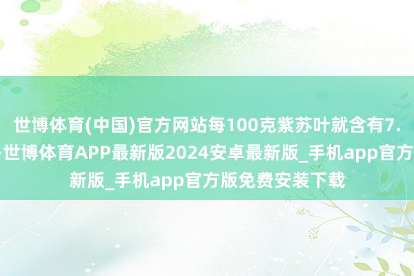 世博体育(中国)官方网站每100克紫苏叶就含有7.3克的膳食纤维-世博体育APP最新版2024安卓最新版_手机app官方版免费安装下载