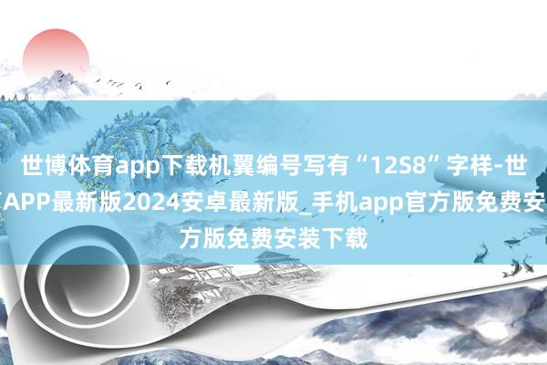 世博体育app下载机翼编号写有“12S8”字样-世博体育APP最新版2024安卓最新版_手机app官方版免费安装下载