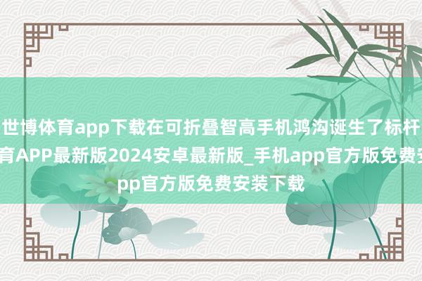 世博体育app下载在可折叠智高手机鸿沟诞生了标杆-世博体育APP最新版2024安卓最新版_手机app官方版免费安装下载