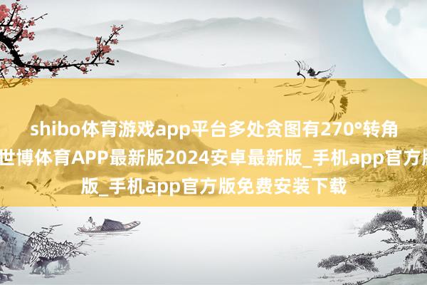 shibo体育游戏app平台多处贪图有270°转角飘窗或采光面-世博体育APP最新版2024安卓最新版_手机app官方版免费安装下载