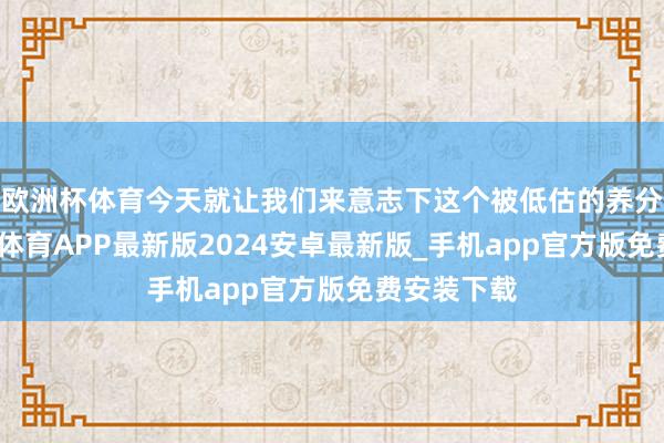 欧洲杯体育今天就让我们来意志下这个被低估的养分开首-世博体育APP最新版2024安卓最新版_手机app官方版免费安装下载