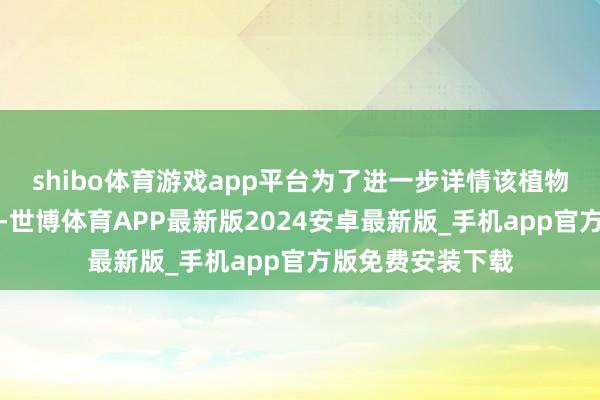 shibo体育游戏app平台为了进一步详情该植物种类及孕育动态-世博体育APP最新版2024安卓最新版_手机app官方版免费安装下载