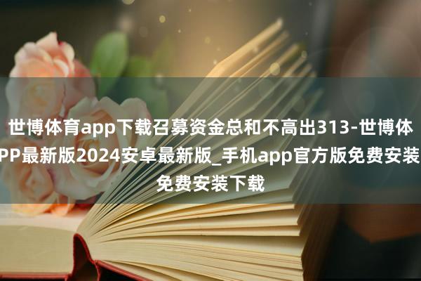 世博体育app下载召募资金总和不高出313-世博体育APP最新版2024安卓最新版_手机app官方版免费安装下载