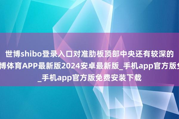世博shibo登录入口对准肋板顶部中央还有较深的中央凹槽-世博体育APP最新版2024安卓最新版_手机app官方版免费安装下载