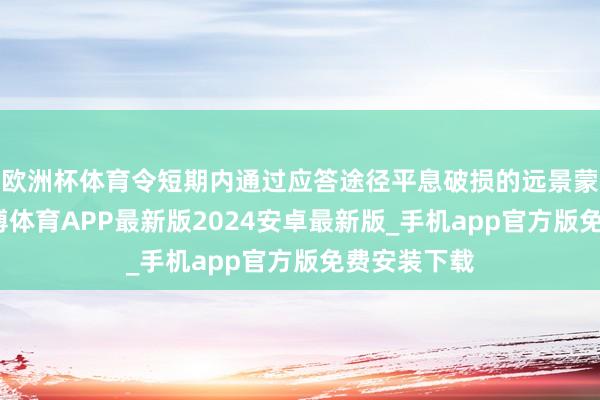 欧洲杯体育令短期内通过应答途径平息破损的远景蒙上暗影-世博体育APP最新版2024安卓最新版_手机app官方版免费安装下载